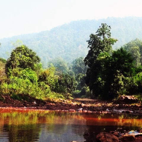 Little Pond